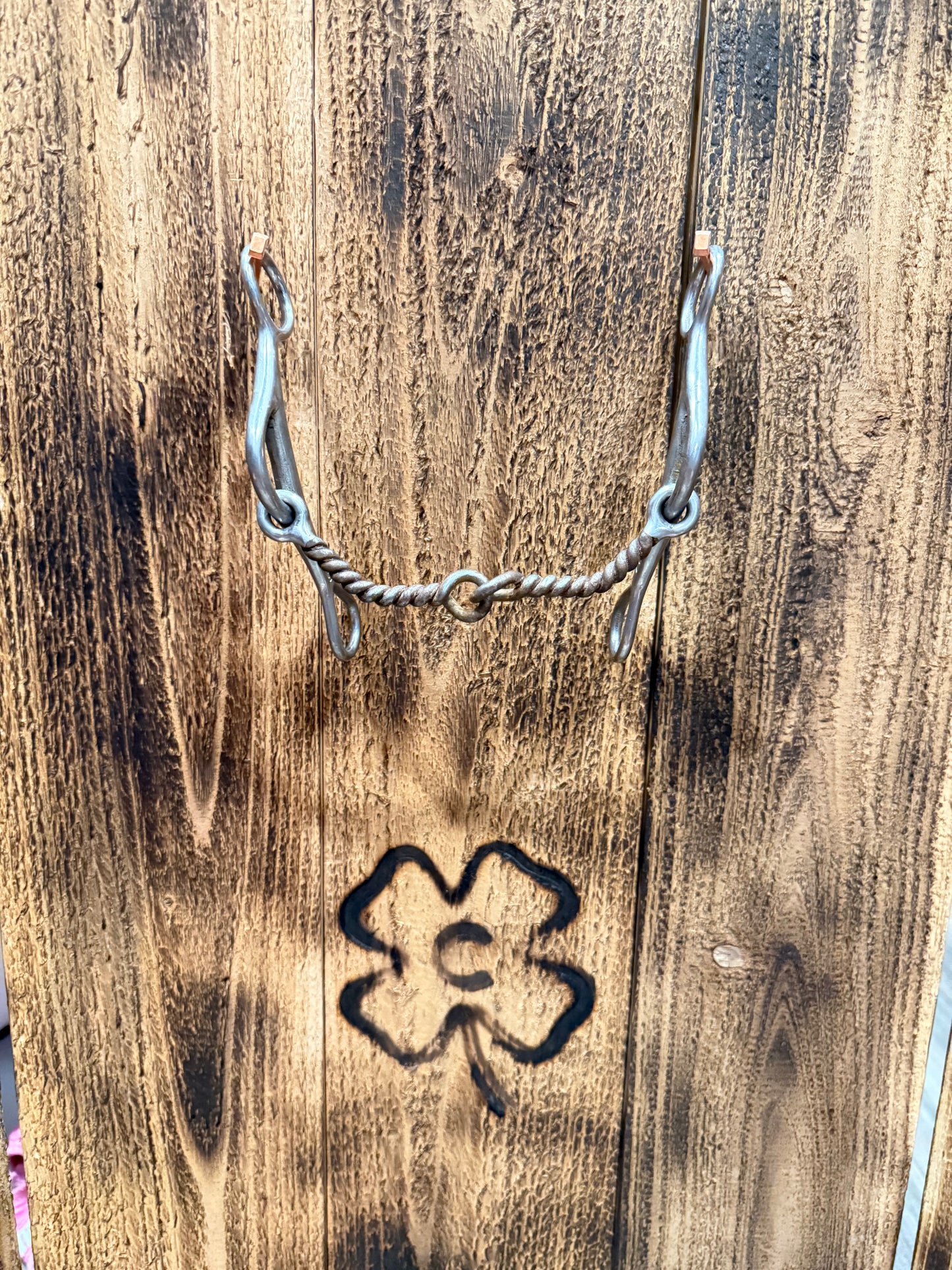 Professionals Choice Pozzi Twisted Snaffle Gag Bit