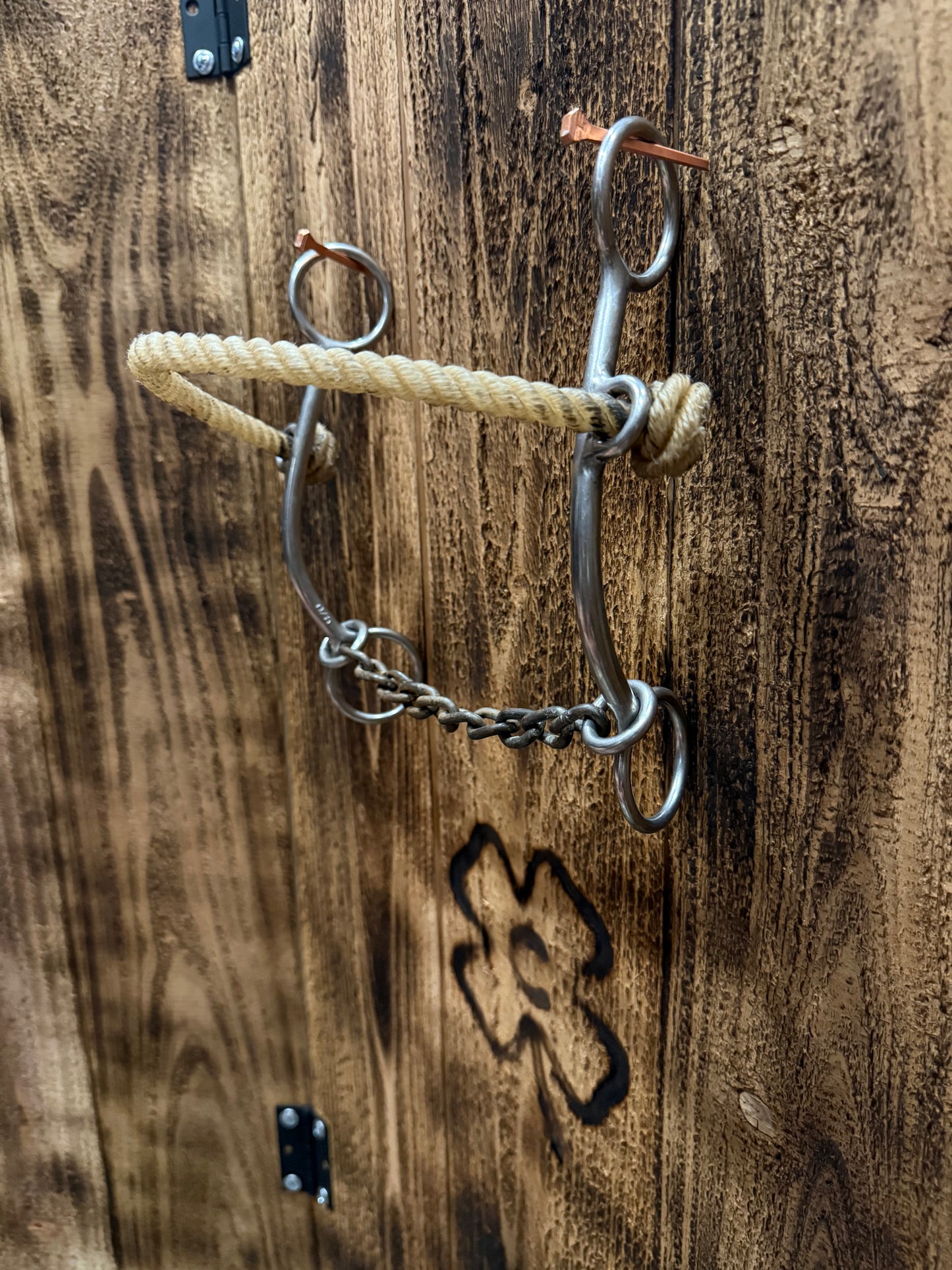 Johnson Hackamore Chain Combo Bit