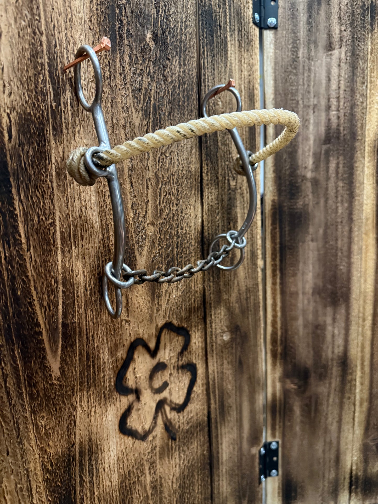 Johnson Hackamore Chain Combo Bit