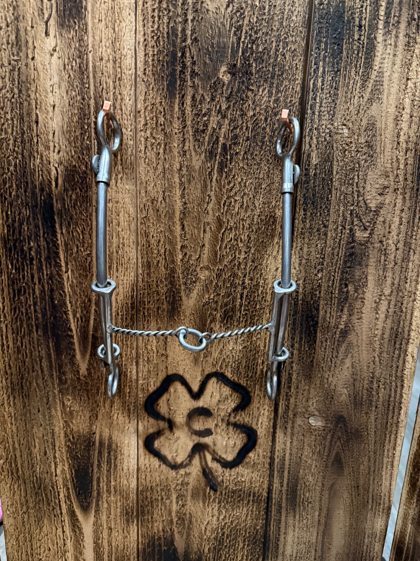 Changeable Mouthpiece Draw Gag