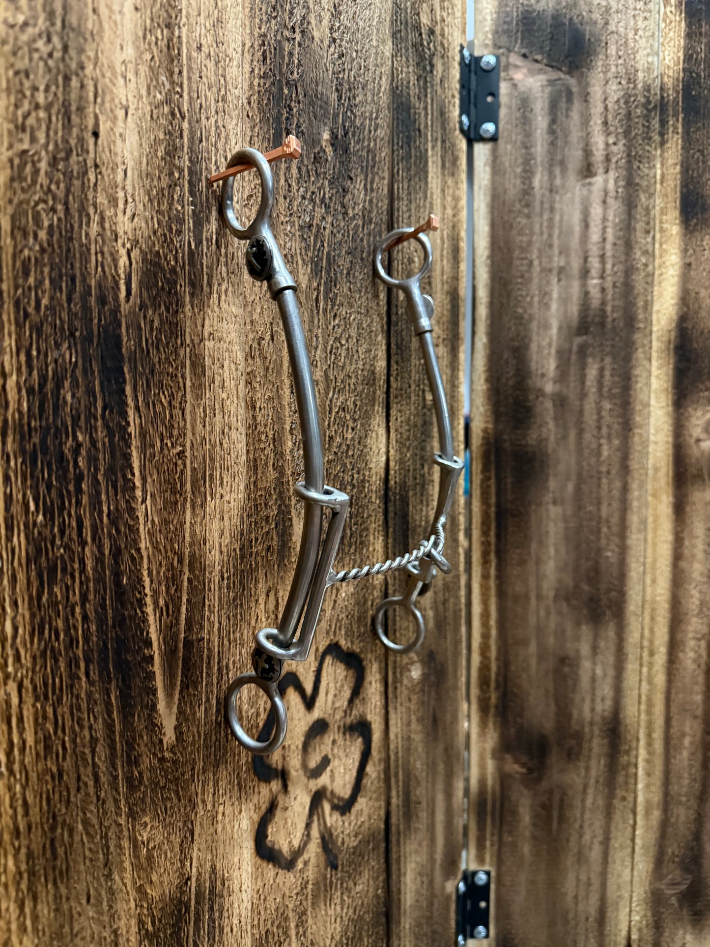 Changeable Mouthpiece Draw Gag