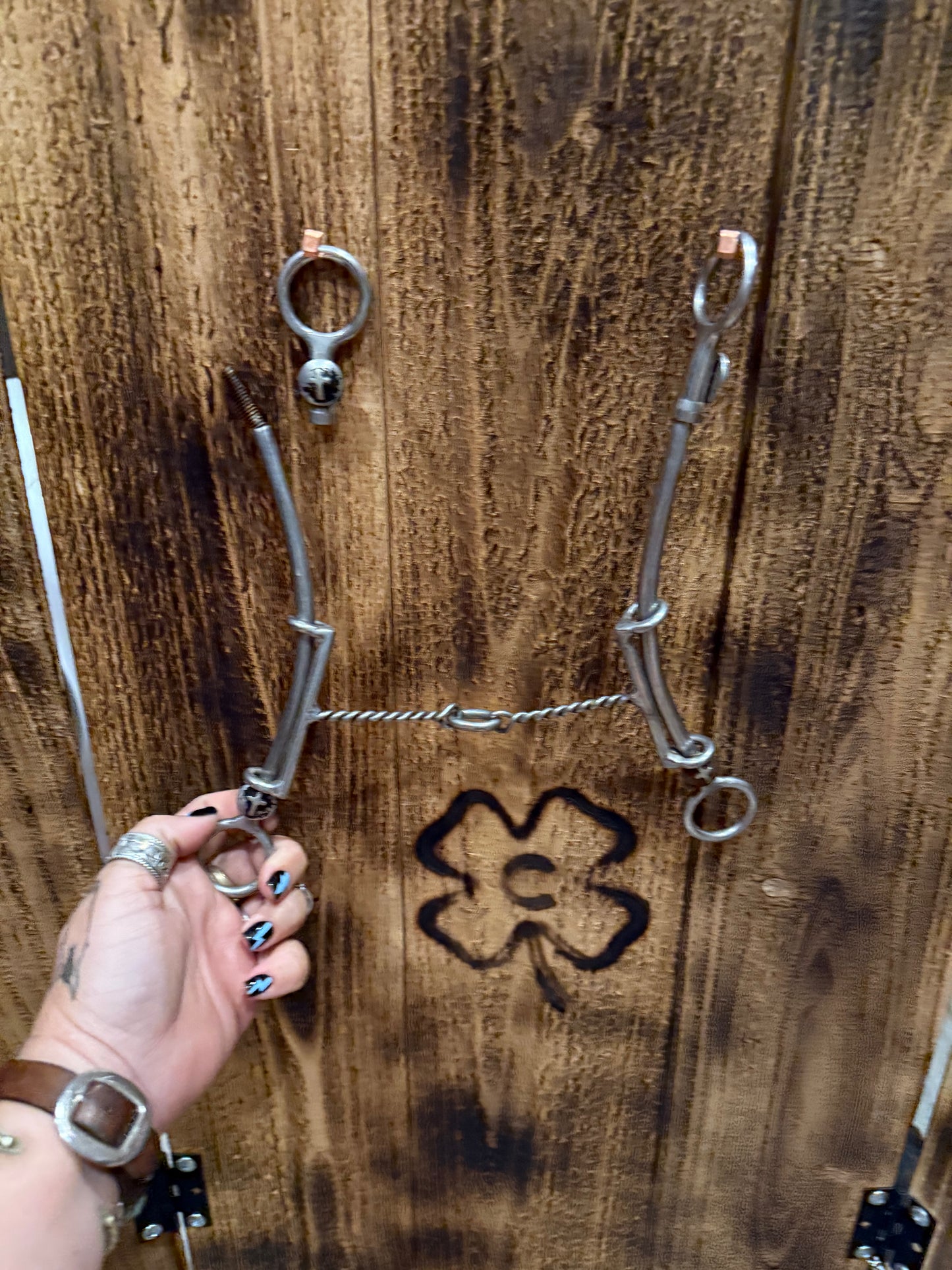 Changeable Mouthpiece Draw Gag